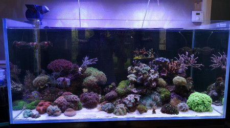 aquarium Aquarium System 570