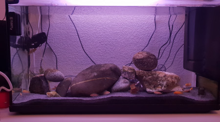 aquarium Le moyen 120L