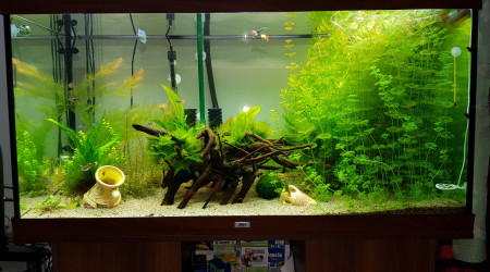 aquarium 350l