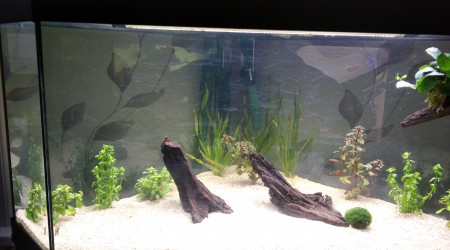 aquarium Rousseau