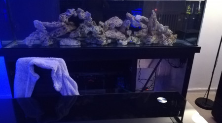 aquarium Bac récifal 650l 240l de decante