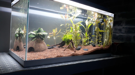 aquarium Bac 60L