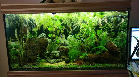 aquarium Aqualantis 450