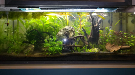 aquarium Aqua 120L