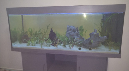 aquarium 450L