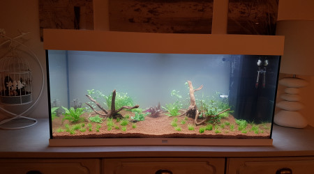 aquarium Rio led 180