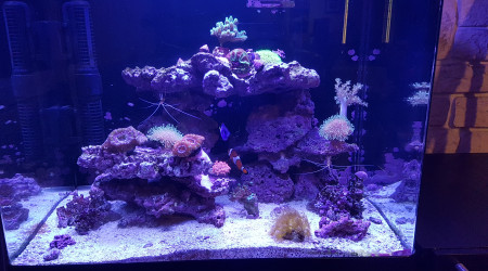 aquarium Mon RS 130