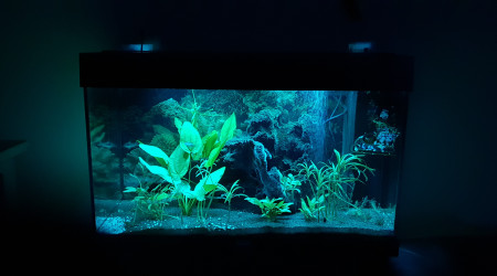 aquarium Seb