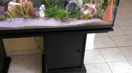 aquarium Scalaires 600l