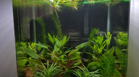 aquarium Nano 30l