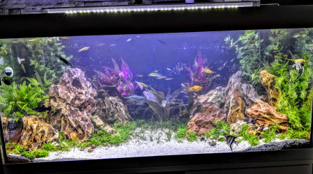 aquarium AQUARIUM VIVALINE LED