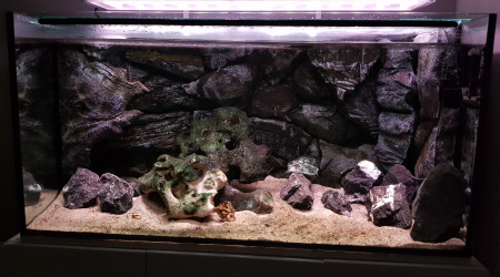 Bac vide après la perte des locataires