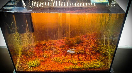 ça commence à rendre.