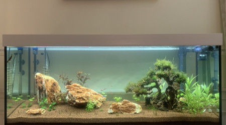 aquarium Eheim 240
