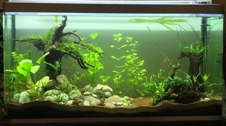 bac à 1 mois. fin de cyclage