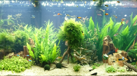 Aménagements presque terminés...