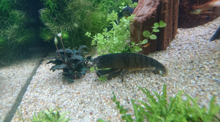 Melle fait une sortie