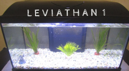 aquarium Léviathan 1