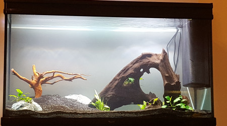 aquarium 200l