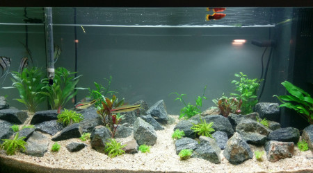 Juwel 100L  Communautaire