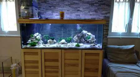 aquarium 550lt Lac tanganjika