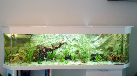 aquarium Principal 750L