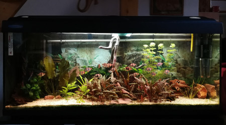 aquarium 155 litres