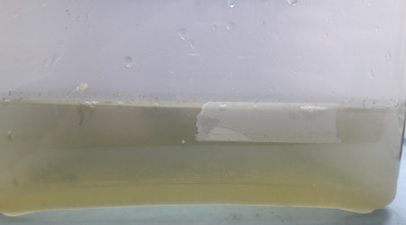 aquarium Bac elevage ecosysteme artemias