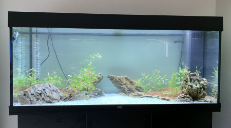 aquarium RIO 240