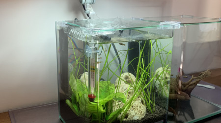 aquarium 10l Dennerle