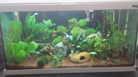 aquarium mon aqua 50l