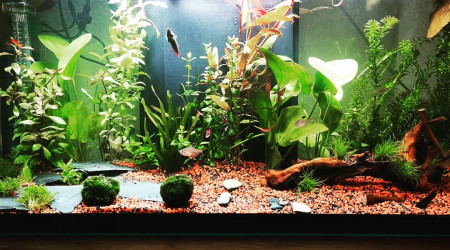 Jour J-30 réaménagé