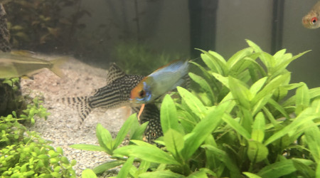 Nos petites bandes de potes!