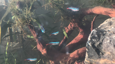 Nos petites bandes de potes!