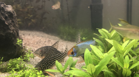 Nos petites bandes de potes!