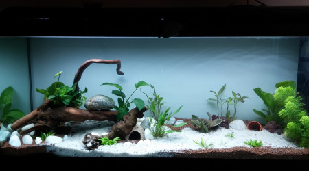 120L