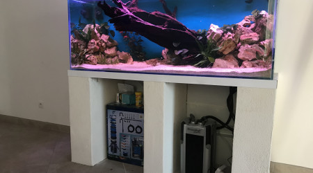 aquarium 450 L - Axolotl
