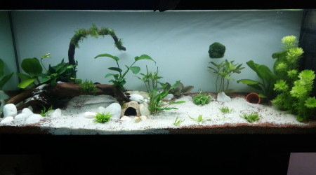 aquarium 120L