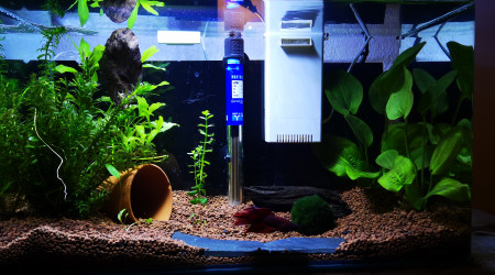 aquarium 40L betta