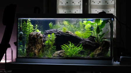 aquarium Eheim 54L