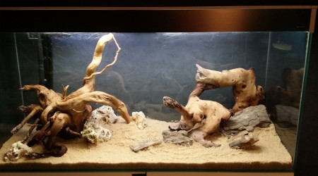 Mise en.place du décor