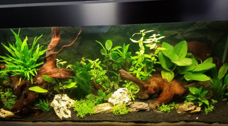 Remise en forme surface J+13