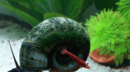 En mode j'me balade ;-)