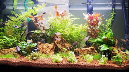 Évolution de mon bac