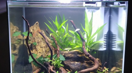 aquarium Nano 30L