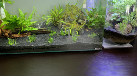 aquarium Nano 32L