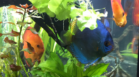 9 août 2018 après changement’ sable