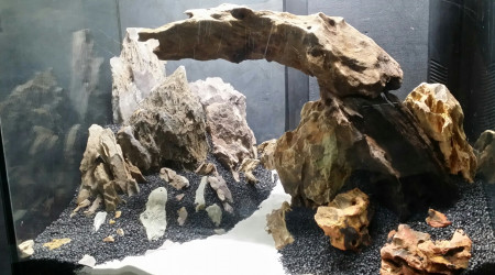 Hardscape.... fini???