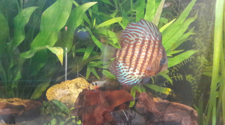 Ptit nouveau depuis 4 jrs