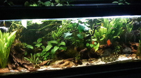 C'est l'heure !!! tous ce ptits monde va au dodo !!!